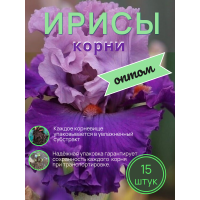 Ирисы / ОПТ 15 штук